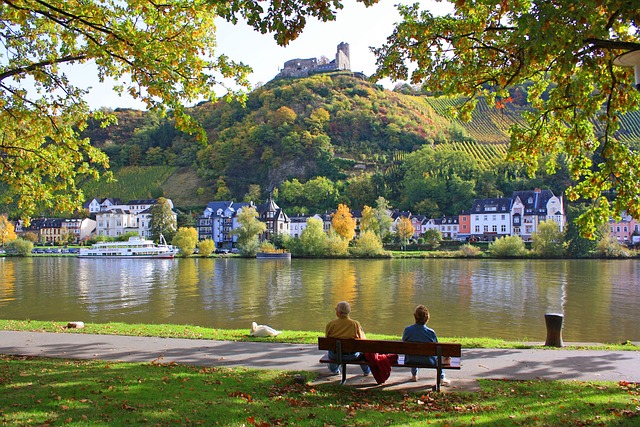 全景