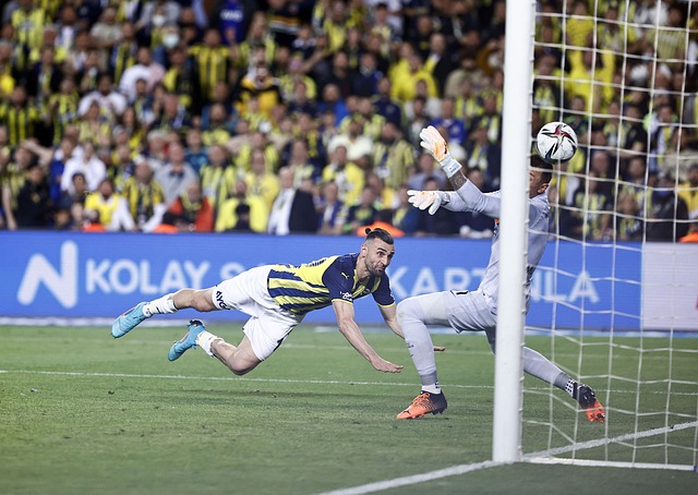 球队的教练 球队的教练