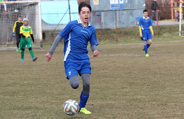 整体的协作 整体的协作