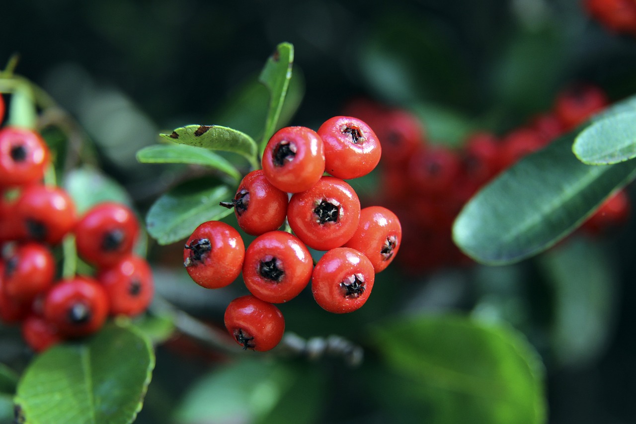 刘诚宇以惊 刘诚宇以惊