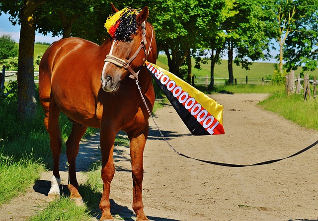 机车具备优 机车具备优