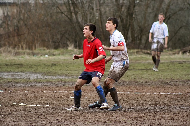 储备不仅可 储备不仅可