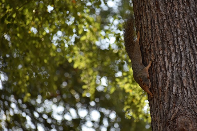 A常规赛中 A常规赛中