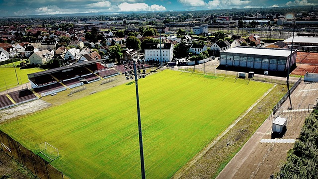 球市场的不 球市场的不